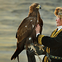 Cazadora de Águilas